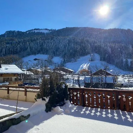 Montagnard 6-7 Pers, Proche Telecabines, Rdc, Parking Ferme - Fr-1-458-91 * Le Grand-Bornand